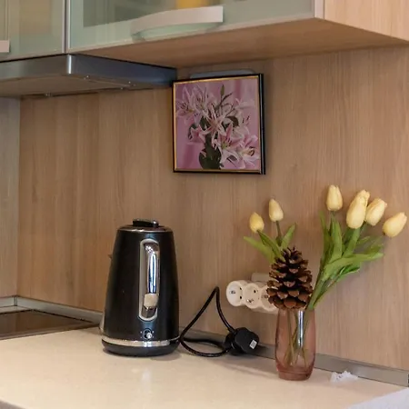 Romance Golden Line For Rent *