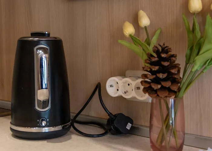 Romance Golden Line For Rent